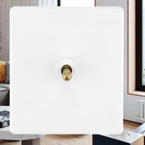 Switches and Sockets 30